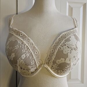 Cacique Plunge Lace Bra